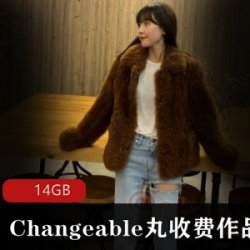 微博丝袜博主Changeable丸收费图片和视频合集