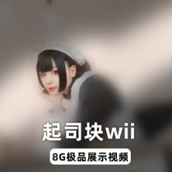 起司块wii的8个G极品视频！