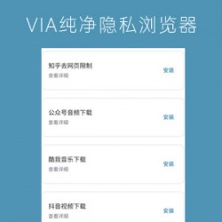 Via浏览器V4绿色版