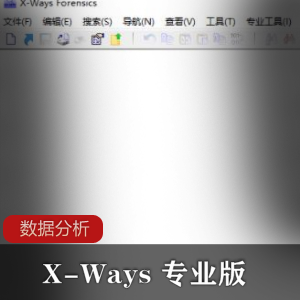 X-Ways 专业版