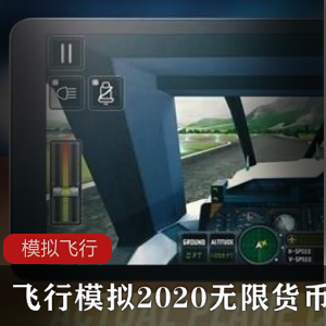 飞行模拟2020无限货币