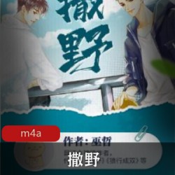 吴哲创作的经典小说《撒野》，打动人心！