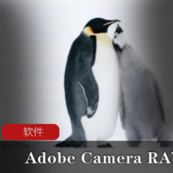 图像增效工具(Adobe Camera RAW)图像增效工具推荐