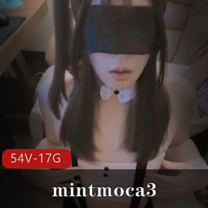 OnlyFans的大雕TS-mintmoca3合集 54v – 17G