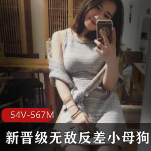 PUA内部展示 大神实力约各种良家人妻-模特-学生妹露脸[17V2.77G]